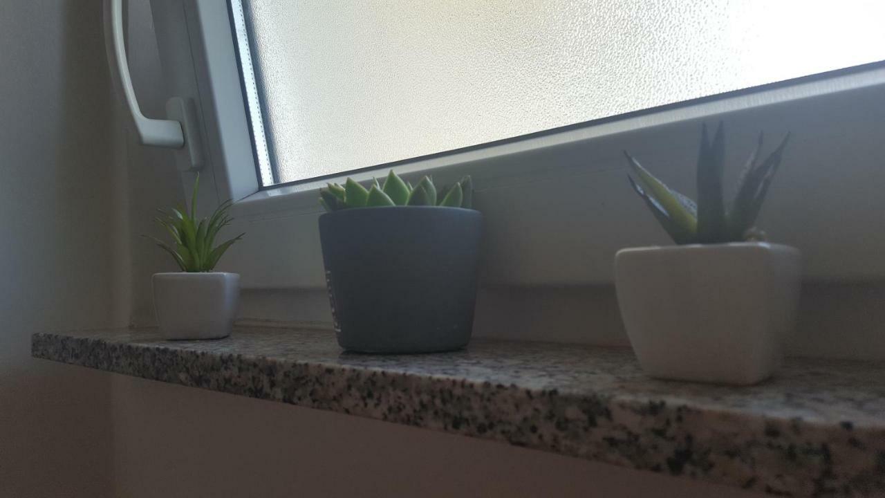 Sunny Kvarner Apartment 里耶卡 外观 照片